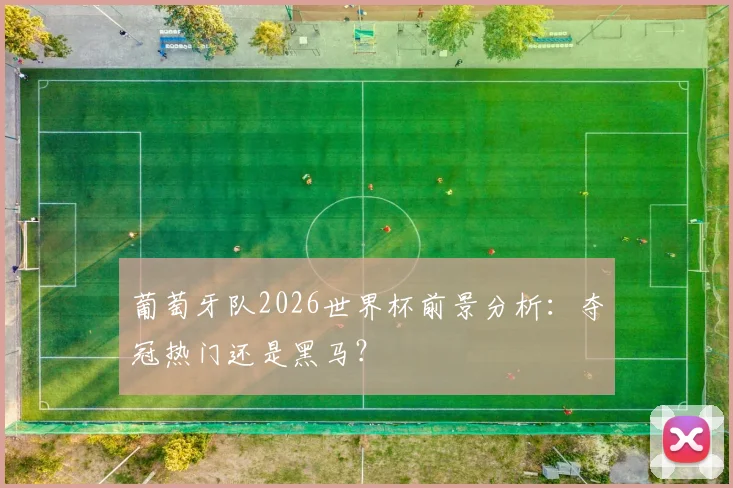 葡萄牙队2026世界杯前景分析:夺冠热门还是黑马?