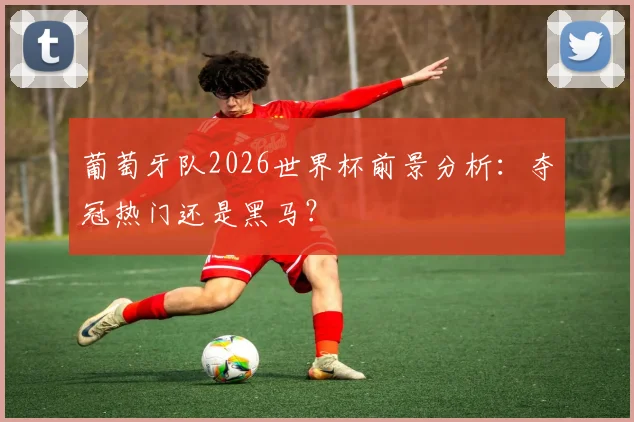 葡萄牙队2026世界杯前景分析：夺冠热门还是黑马？